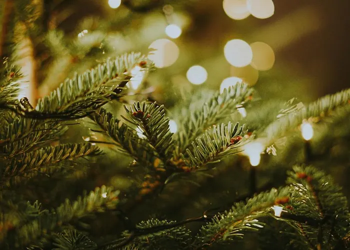 Esqina Лісабон